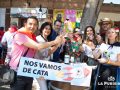 cata24-35