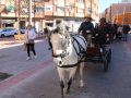 sananton2025-44
