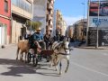 sananton2025-47
