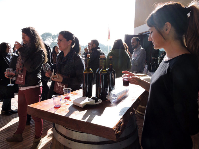 enoturismo vino y gastronomía