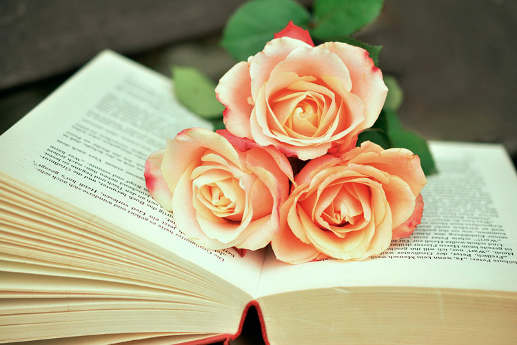 libros y rosas san valentín