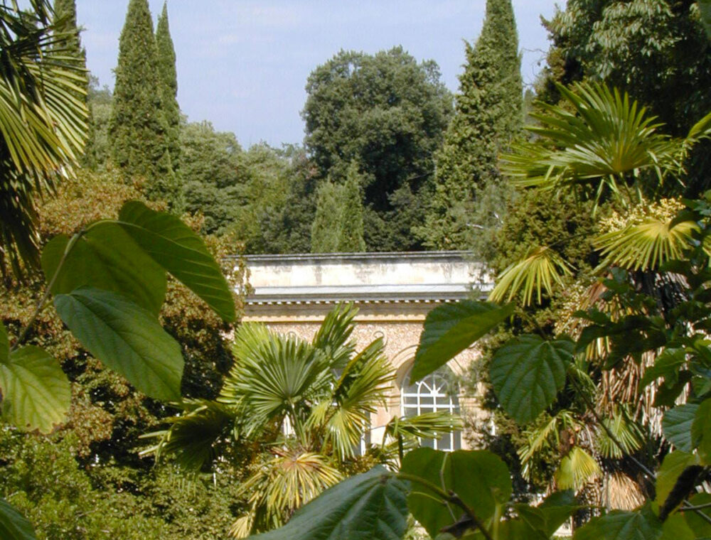 Motpellier-jardín-botánio-francia