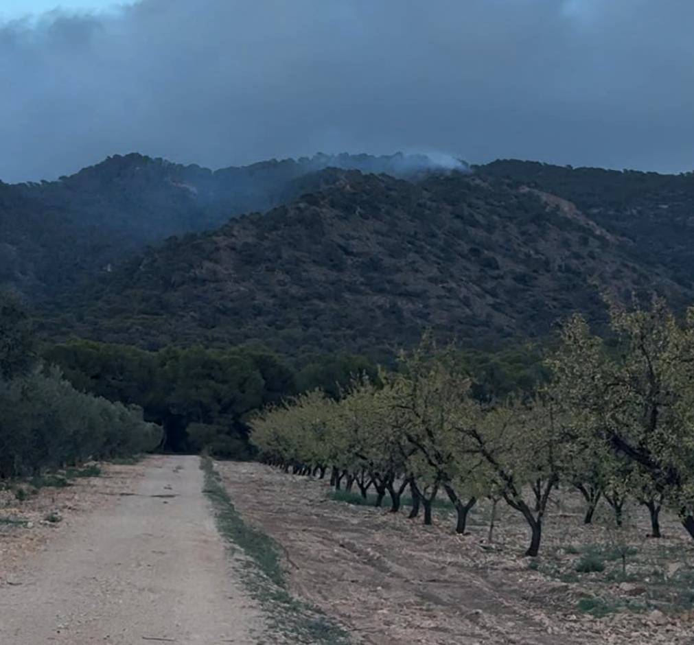 incendio sierra salinas