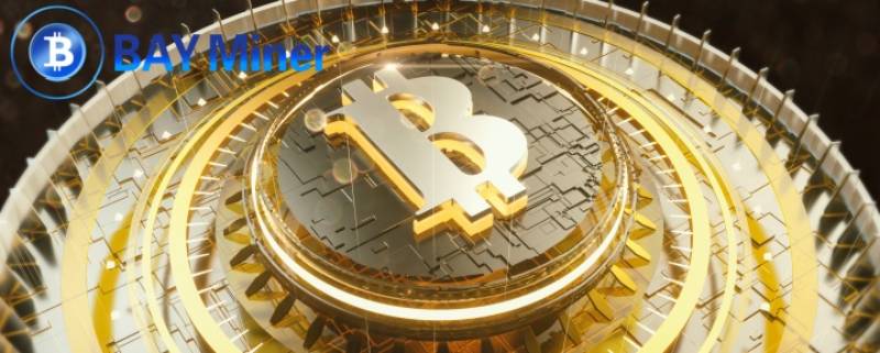 BAY Miner usando DOGE y XRP