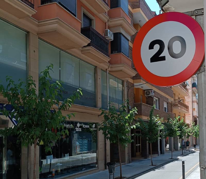 seguridad vial