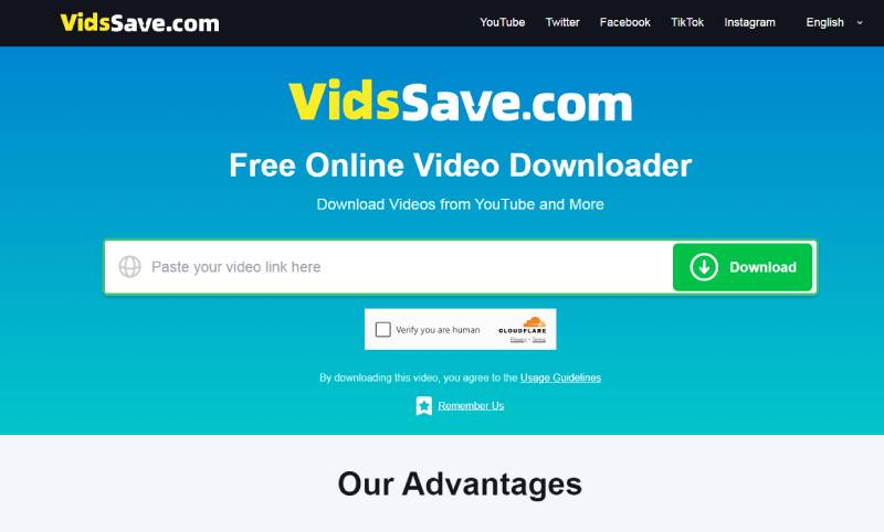 VidsSave.com
