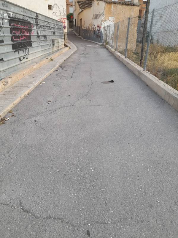 calle hsitoriador cosme gil suciedad