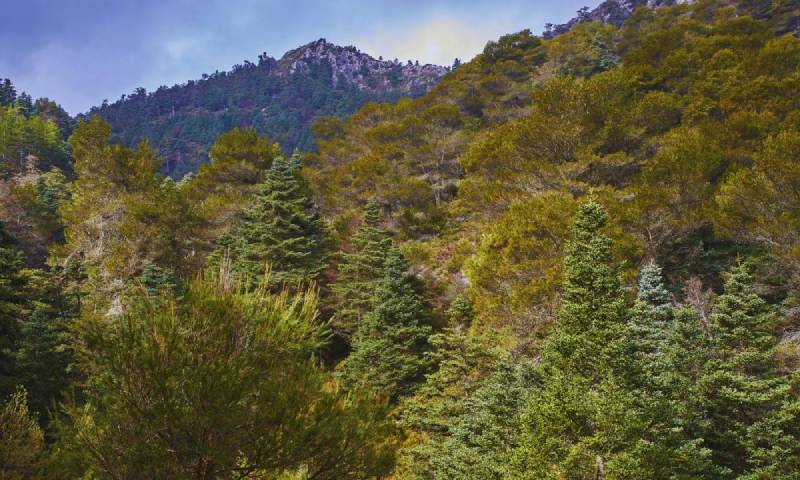 Málaga: del litoral a la Serranía