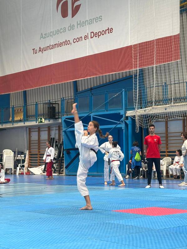 Taekwondo de Castilla-La Mancha