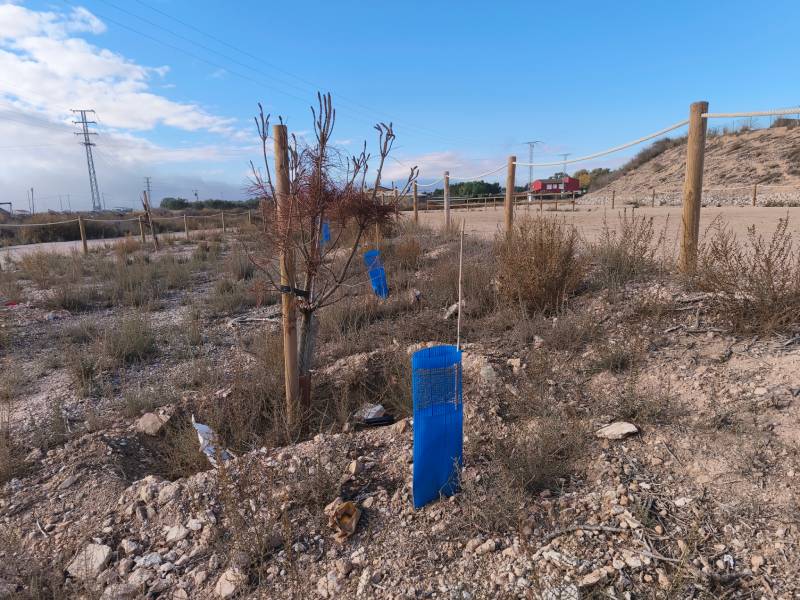 vegetación de Las Celadillas