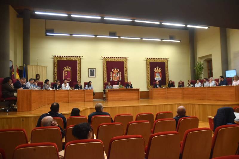 pleno noviembre villena