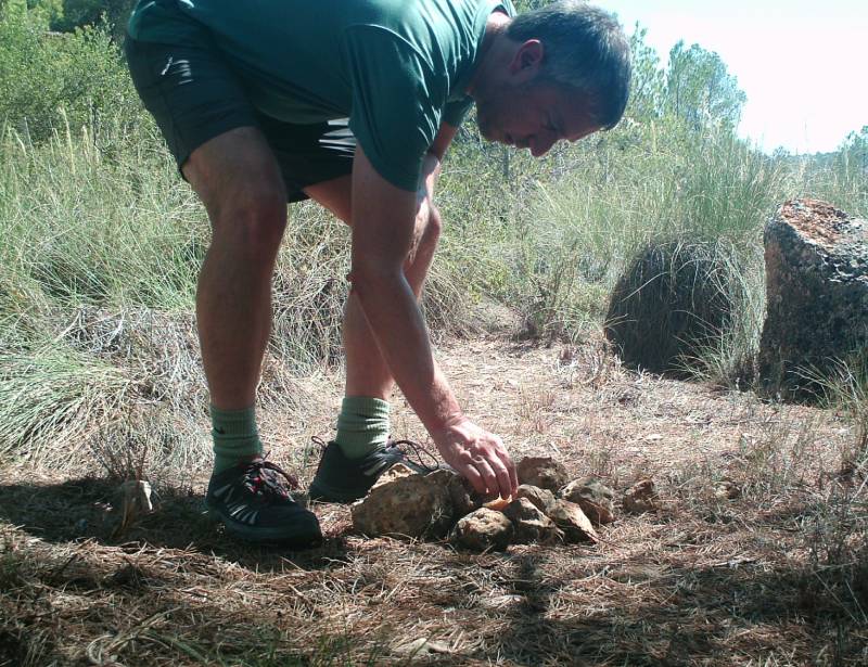 gato mont&eacute;s en Yecla
