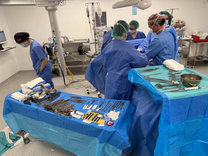 operación , sanidad, salud, medicina, hospital
