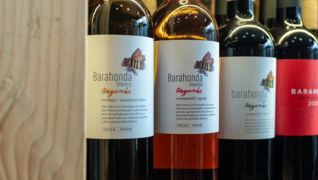 Bodegas con visita en Yecla: experiencias, catas y enoturismo sin prisas