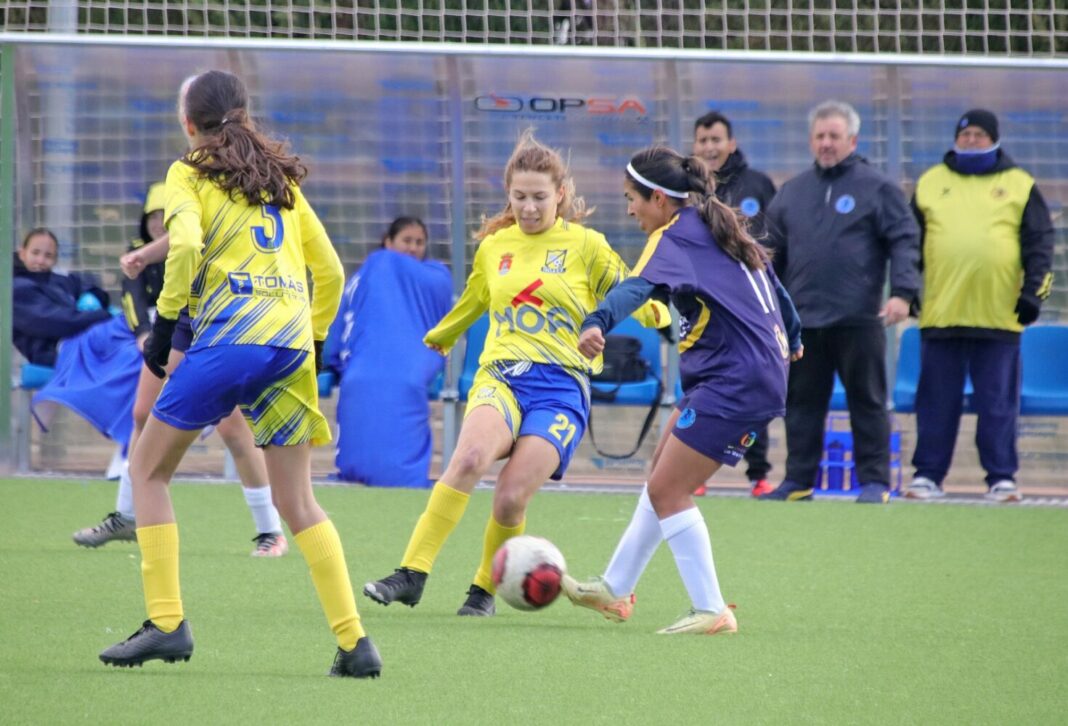 sénior femenino yecla cf