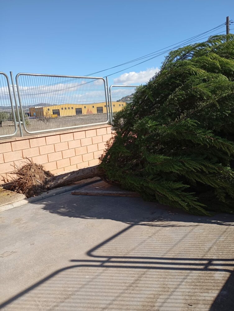 Rachas de viento de m&aacute;s de 90 km/h