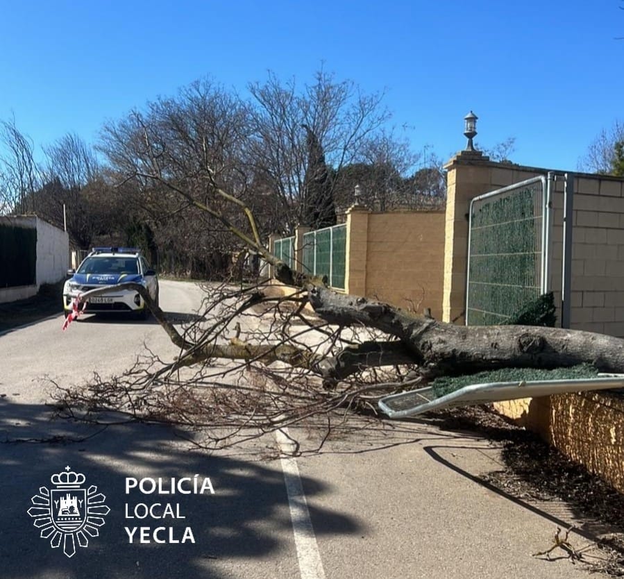 Rachas de viento de m&aacute;s de 90 km/h