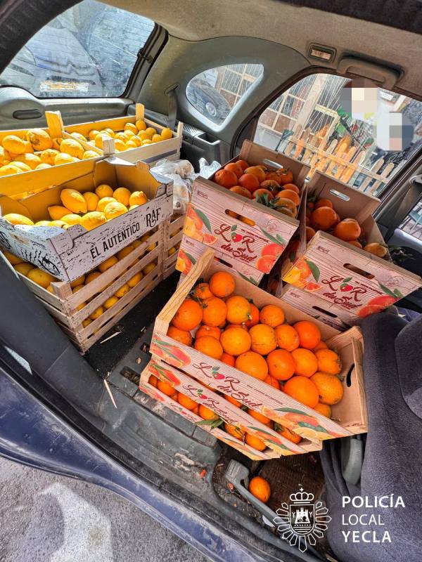 venta ambulante sin autorizaci&oacute;n