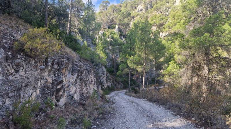 las pansas sendero