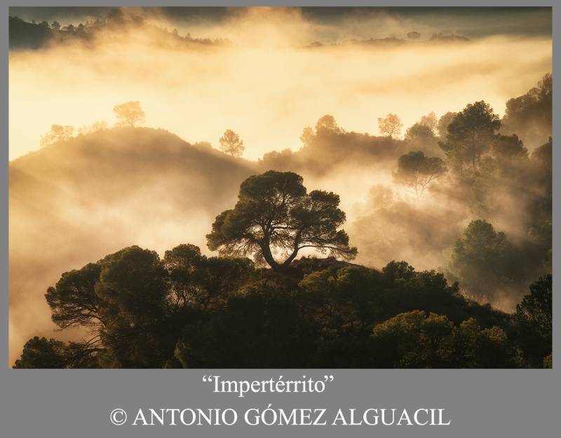 concurso de naturaleza de ANIDA