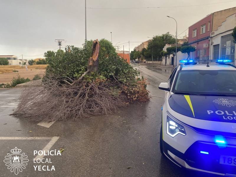 Aemet prevé 42 grados y fuertes tormentas durante la tarde