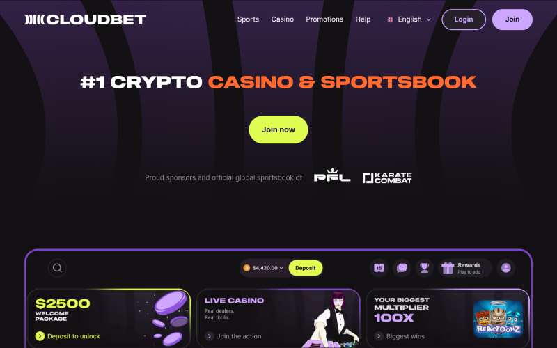 Crypto Casinos
