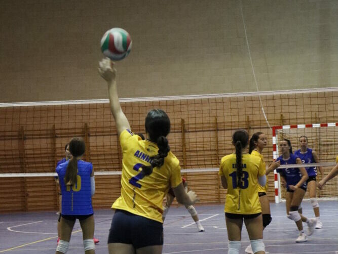 Doble victoria del voleibol de la Red Deportiva Yecla y pleno del cadete de baloncesto