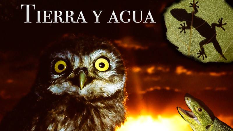 “Tierra y agua”, de Yecla a América: meses de éxito internacional en las plataformas de streaming