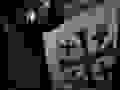 X6A8081
