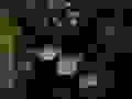 X6A8085