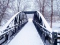 1_IMG-20200121-WA0031