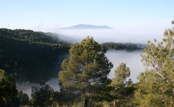 sierra salinas plan de conservación de los espacios protegidos