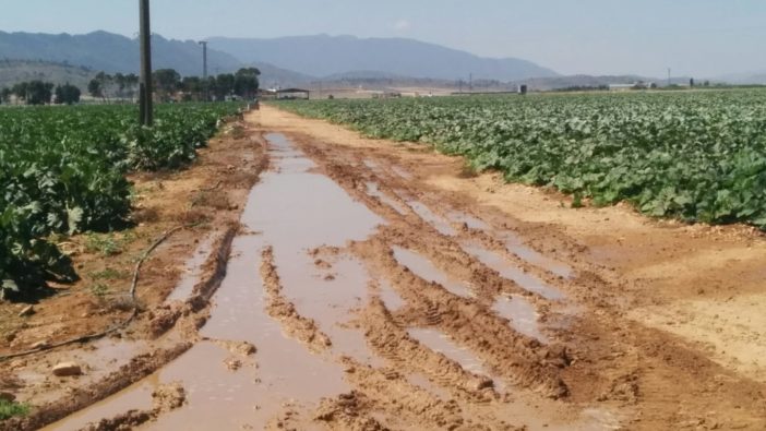 Pérdida de agua cerca de cultivos intensivos. Fuente: Plataforma Salvemos el Arabí y Comarca