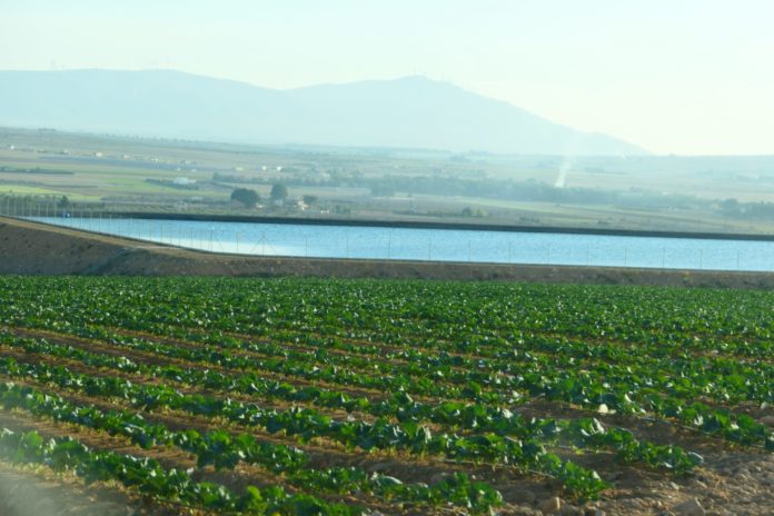 Agua Umbría del Factor