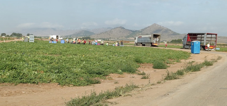 cultivos intensivos trabajando