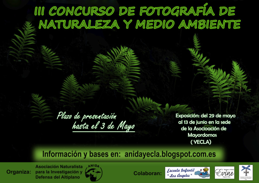 Cartel III Concurso Fotográfico de Naturaleza y Medio Ambiente