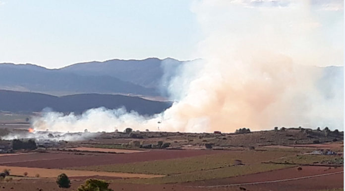 Artículos de opinión  elperiodicodeyecladeyecla.com