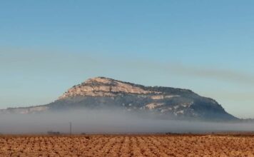 monte arabí campaña de reforestación