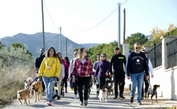 Yecla homenajeará a sus voluntarios el 3 de diciembre spandy marcha canina