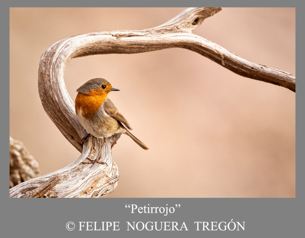 Segundo-premio-naturaleza-24