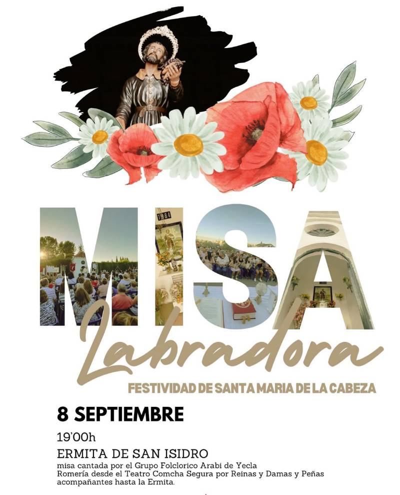 misa labradora