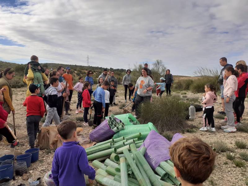 Campaña de repoblación forestal planta 800 ejemplares en Los Pajonares