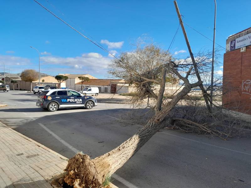 fuertes rachas de viento.