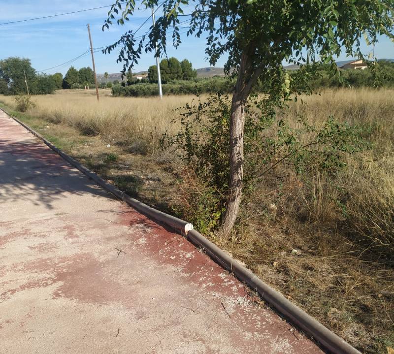 carril bici fuente álamo