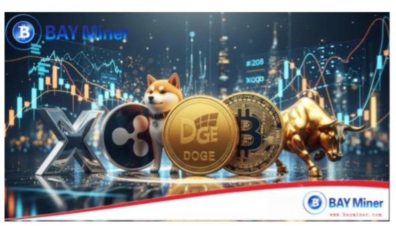 BAY Miner usando DOGE y XRP