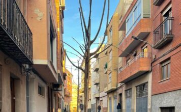 calles de yecla comercio centro