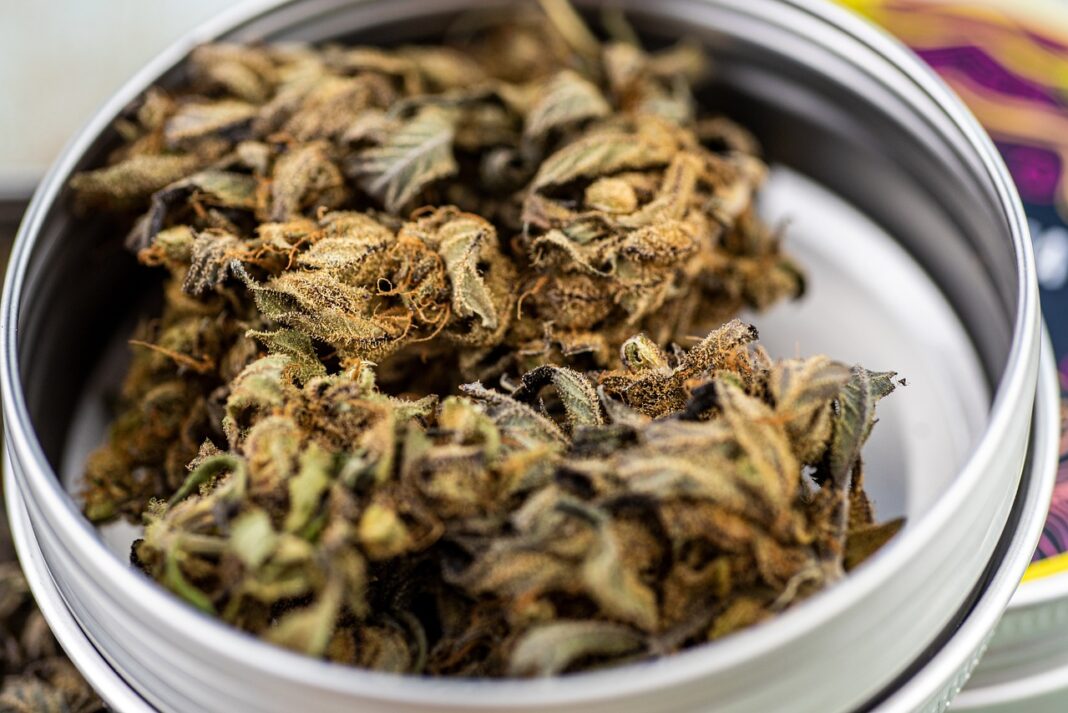 CBD en 2025