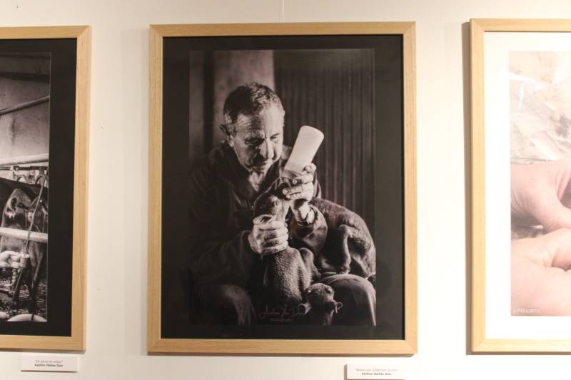 exposición fotográfico del Circulo Fotográfico de Yecla Clic Clac “Yecla,
costumbres y tradiciones”