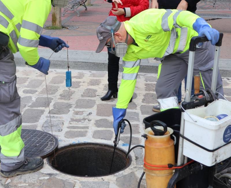 plaga, alcantarillas