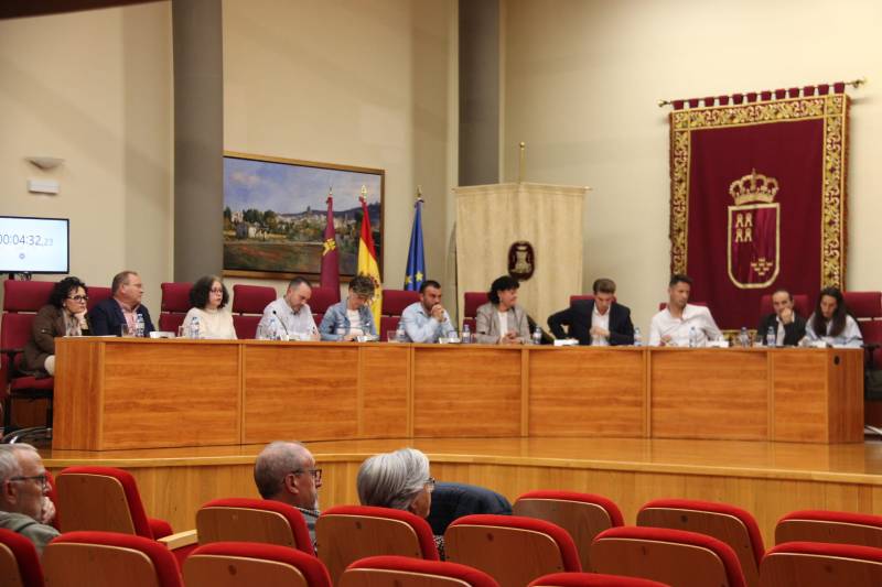 pleno noviembre villena